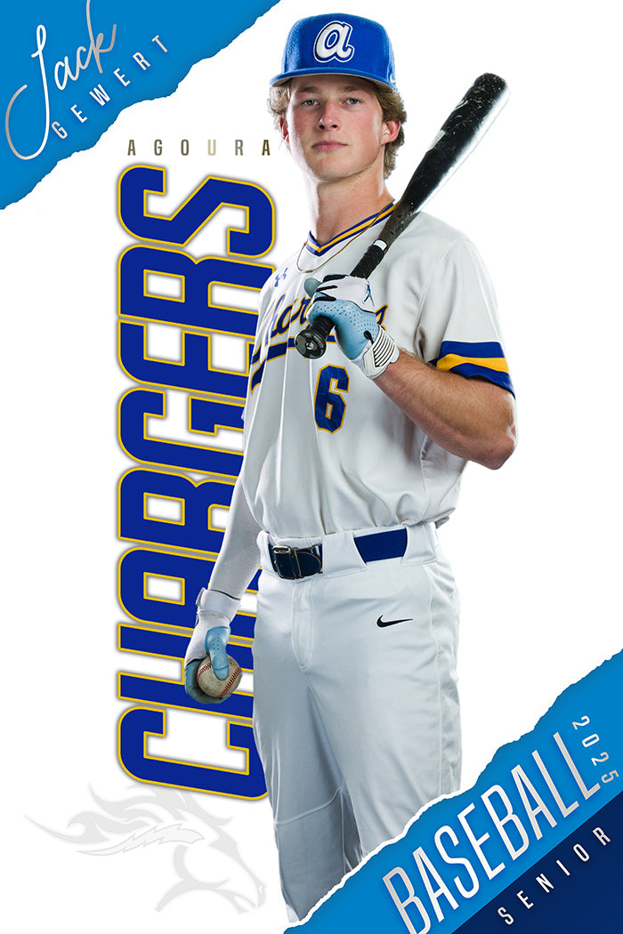 Baseball Senior Banner Photoshop Digital Template Design