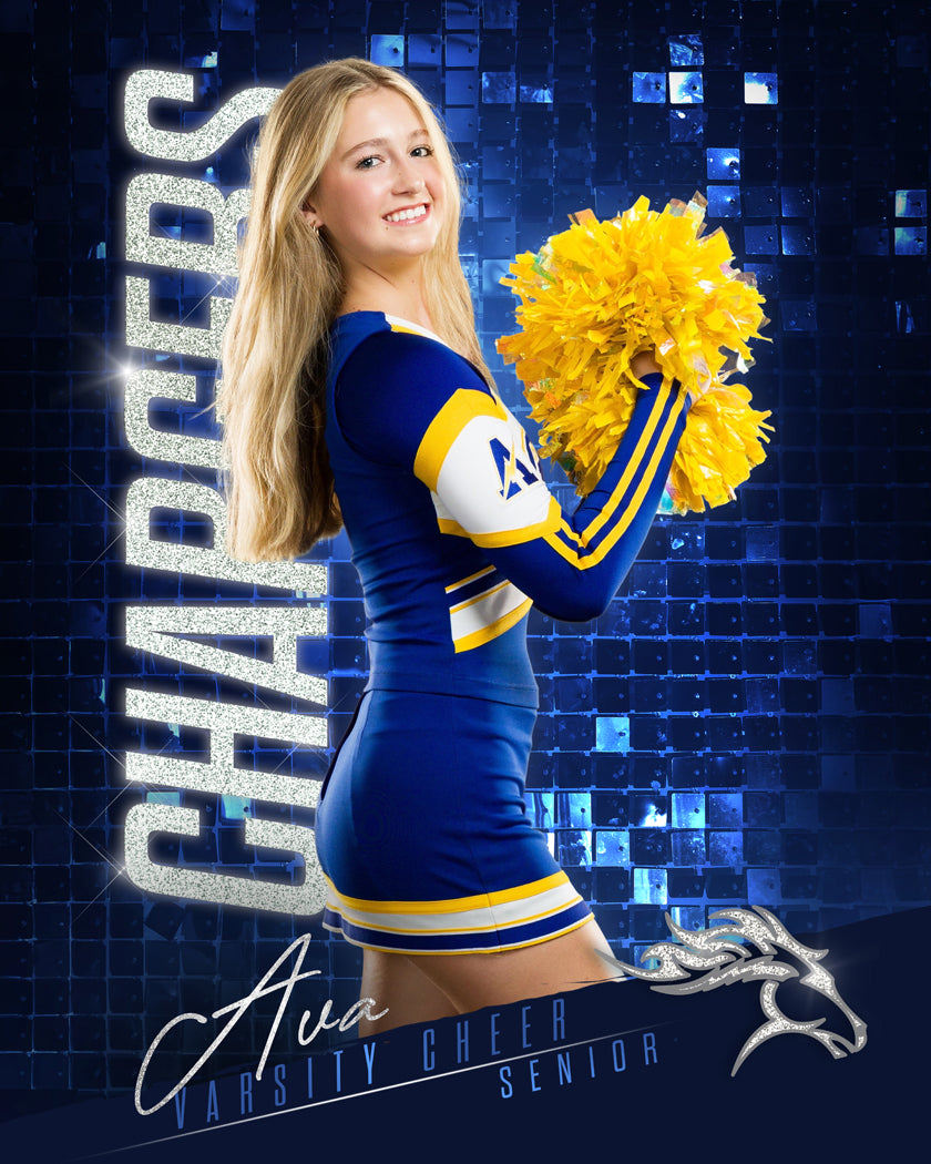 Shimmer Wall Multi Sport Template