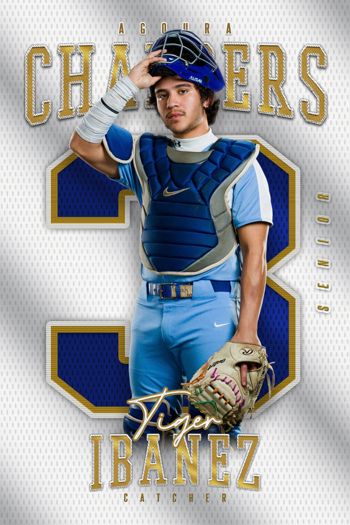Insignia Multi Sport Template